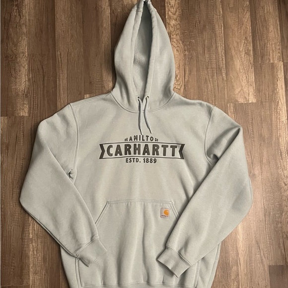Carhartt Men's Hoodie in Light Blue - Picture 1 of 3